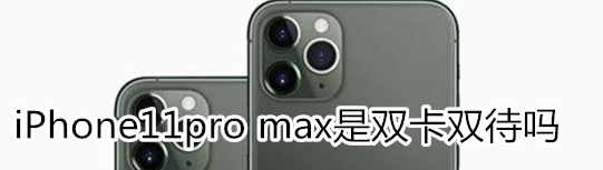 iphone11是双卡双待吗：iPhone11pro max到底是不是双卡双待