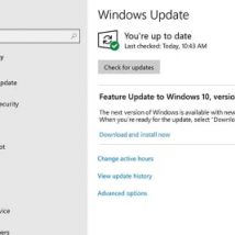 Windows10May2019 Update不会使用自动更新来阻碍用户