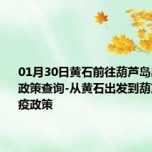 01月30日黄石前往葫芦岛出行防疫政策查询-从黄石出发到葫芦岛的防疫政策