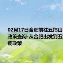 02月17日合肥前往五指山出行防疫政策查询-从合肥出发到五指山的防疫政策