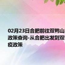 02月23日合肥前往双鸭山出行防疫政策查询-从合肥出发到双鸭山的防疫政策