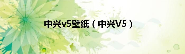 中兴v5壁纸(中兴V5)