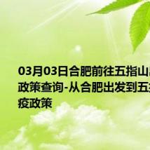 03月03日合肥前往五指山出行防疫政策查询-从合肥出发到五指山的防疫政策