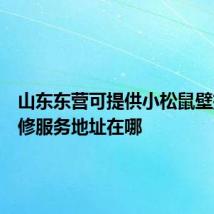 山东东营可提供小松鼠壁挂炉维修服务地址在哪