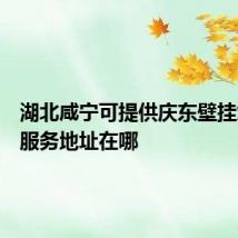 湖北咸宁可提供庆东壁挂炉维修服务地址在哪