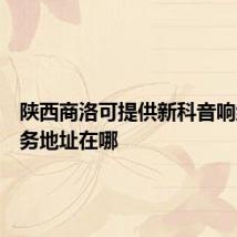 陕西商洛可提供新科音响维修服务地址在哪