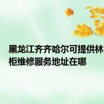 黑龙江齐齐哈尔可提供林内消毒柜维修服务地址在哪