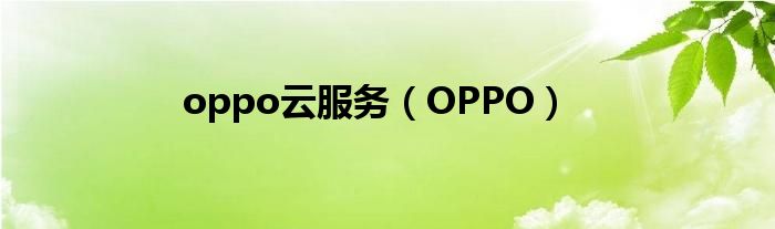 oppo云服务(OPPO)