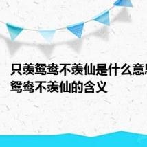 只羡鸳鸯不羡仙是什么意思 只羡鸳鸯不羡仙的含义