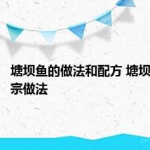 塘坝鱼的做法和配方 塘坝鱼的正宗做法