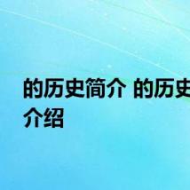 的历史简介 的历史资料介绍