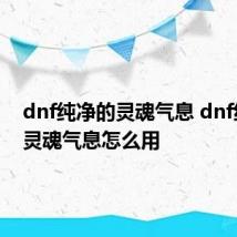 dnf纯净的灵魂气息 dnf纯净的灵魂气息怎么用