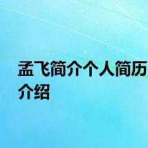 孟飞简介个人简历 孟飞介绍