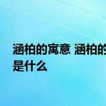 涵柏的寓意 涵柏的寓意是什么