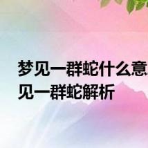 梦见一群蛇什么意思 梦见一群蛇解析