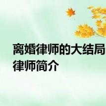 离婚律师的大结局 离婚律师简介