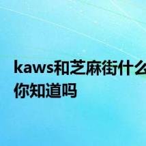 kaws和芝麻街什么关系 你知道吗