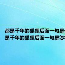 都是千年的狐狸后面一句是什么 都是千年的狐狸后面一句是怎样的