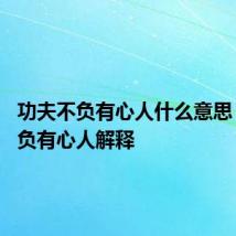 功夫不负有心人什么意思 功夫不负有心人解释