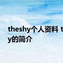 theshy个人资料 theshy的简介