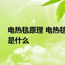 电热毯原理 电热毯原理是什么