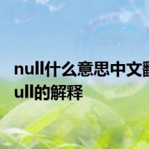 null什么意思中文翻译 null的解释