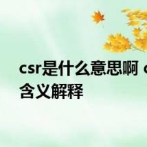 csr是什么意思啊 csr的含义解释