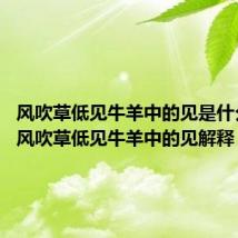 风吹草低见牛羊中的见是什么意思 风吹草低见牛羊中的见解释