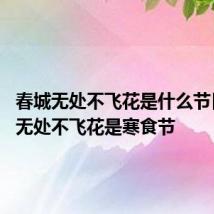 春城无处不飞花是什么节日 春城无处不飞花是寒食节