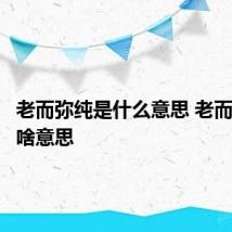 老而弥纯是什么意思 老而弥纯是啥意思