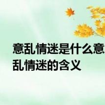 意乱情迷是什么意思 意乱情迷的含义