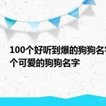 100个好听到爆的狗狗名字 100个可爱的狗狗名字