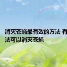 消灭苍蝇最有效的方法 有什么方法可以消灭苍蝇