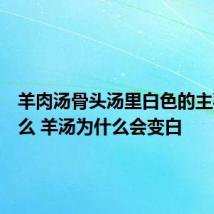 羊肉汤骨头汤里白色的主要是什么 羊汤为什么会变白