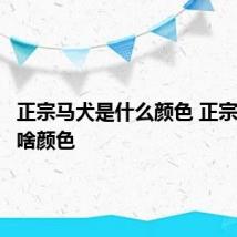 正宗马犬是什么颜色 正宗马犬是啥颜色