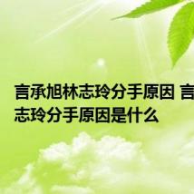 言承旭林志玲分手原因 言承旭林志玲分手原因是什么