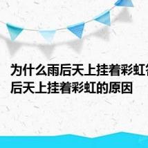 为什么雨后天上挂着彩虹答案 雨后天上挂着彩虹的原因