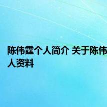 陈伟霆个人简介 关于陈伟霆的个人资料