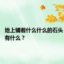 地上铺着什么什么的石头 具体都有什么？