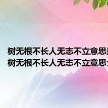 树无根不长人无志不立意思是什么 树无根不长人无志不立意思介绍