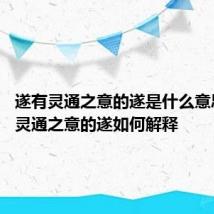 遂有灵通之意的遂是什么意思 遂有灵通之意的遂如何解释