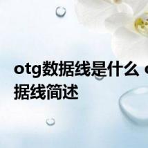 otg数据线是什么 otg数据线简述