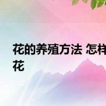 花的养殖方法 怎样养殖花