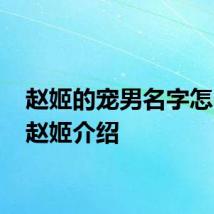 赵姬的宠男名字怎么读 赵姬介绍