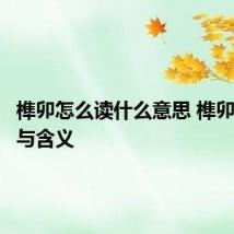 榫卯怎么读什么意思 榫卯的读音与含义