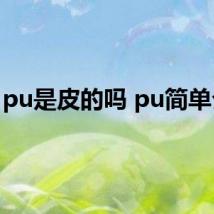 pu是皮的吗 pu简单介绍