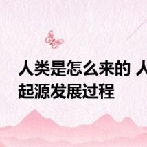 人类是怎么来的 人类的起源发展过程