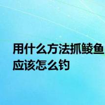 用什么方法抓鲮鱼 鲮鱼应该怎么钓