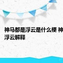 神马都是浮云是什么梗 神马都是浮云解释