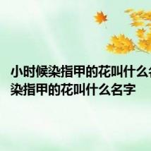 小时候染指甲的花叫什么名字 能染指甲的花叫什么名字